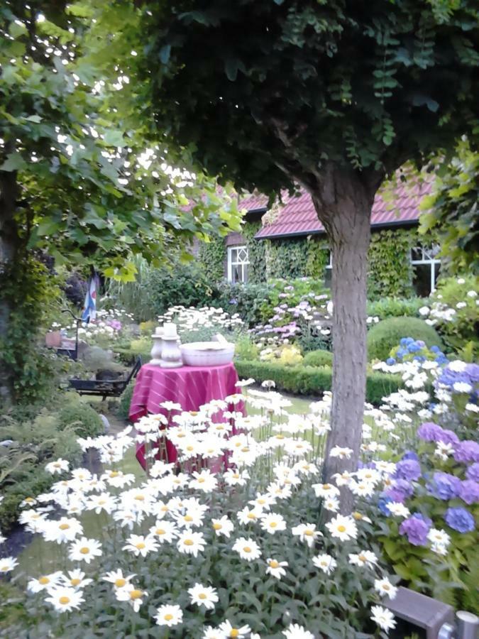 Ferienhaus Zaunkoenig Eversmeer Экстерьер фото